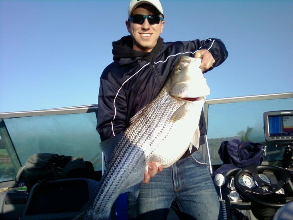 Watts Bar Striper Report East Tennessee Fishing Forums