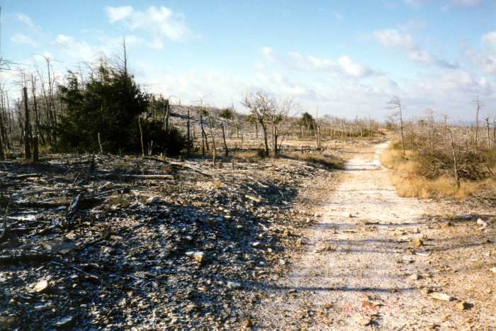 photo wasteland.jpg