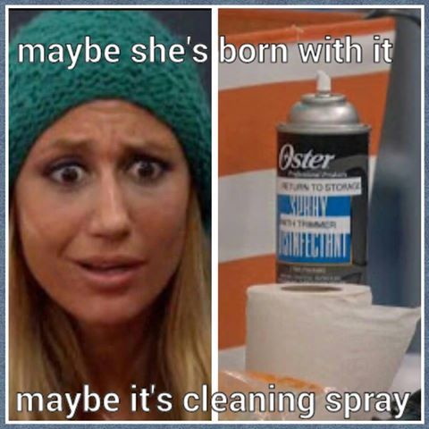 Maybe%20Its%20Cleaning%20Spray_zpsixywno