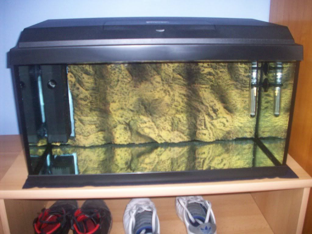 http://i1242.photobucket.com/albums/gg539/zoetwatersteven/103_0070.jpg