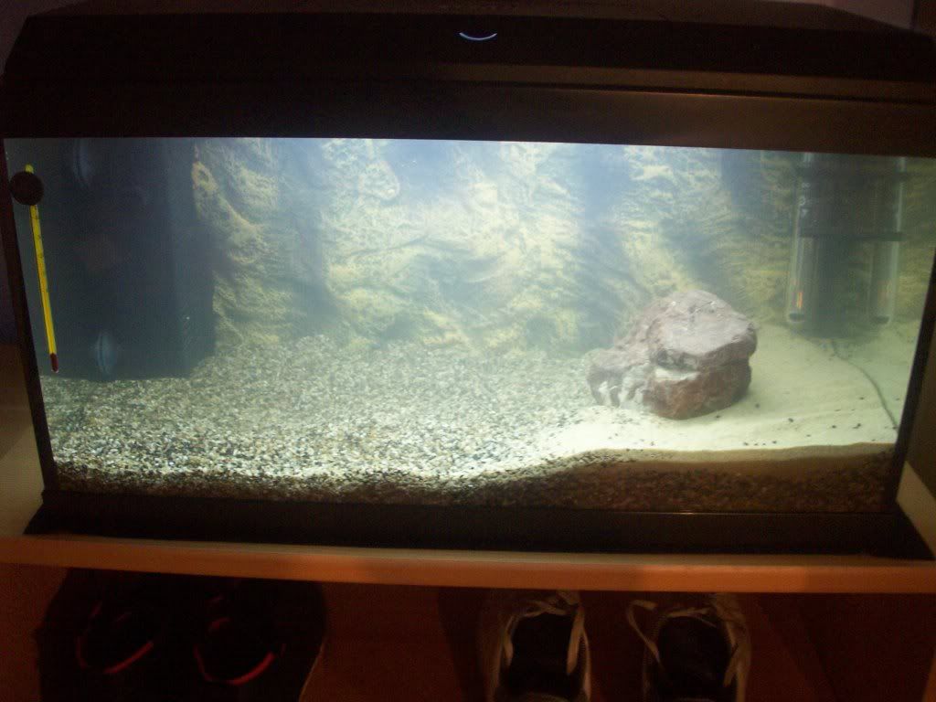 http://i1242.photobucket.com/albums/gg539/zoetwatersteven/103_0078.jpg