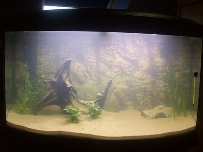 http://i1242.photobucket.com/albums/gg539/zoetwatersteven/amazone1.jpg