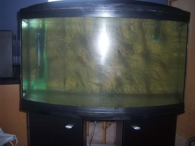 http://i1242.photobucket.com/albums/gg539/zoetwatersteven/wand.jpg
