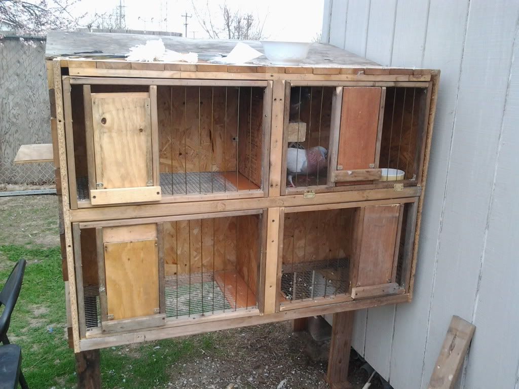 kit box/breeding box conbine - Page 2 - Pigeon-Talk